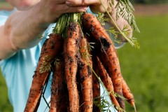 Joosten-Penen-26Small